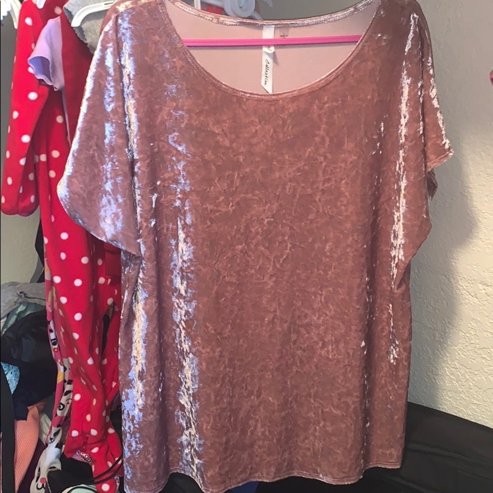 Blush velvet top